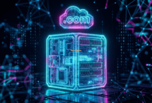 【X站长指南02】海外免实名域名注册与X站专用服务器淘机实战-X站长